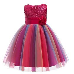 M MUNCASO Mädchen Prinzessin Kleid Pailletten Tüll Blume Regenbogen Runder Kragen Ärmelloses Abendkleid Geburtstagsfeier Hochzeit Brautjungfer Mädchen Abendkleider Kleinkind Alter für 2-13 Jahre von M MUNCASO