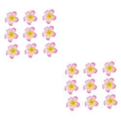 MAGICLULU 24 Stk Plumeria-Haarschmuck hawaiianische Haarspangen Blumenspangen für Mädchen Haarschmuck für Mädchen kinder haarschmuck haarklammer set Haarnadel Hibiskus Badeanzug reisen Rosa von MAGICLULU