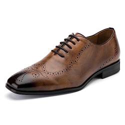 MEIJIANA Oxford Schuhe Herren Business Schuhe Leder Elegante Herren Anzugschuhe Sommer Schnürhalbschuhe, Braun-4, 44 EU (11 UK) von MEIJIANA