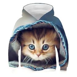 MIMMIC 3D-Druck Hoodies Schöne Katze Jungen Mädchen Outwear Mode Tier Katzendruck Kinder Kapuzenpullover Kinderpullover,1,15 Jahre von MIMMIC