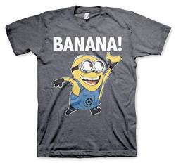 MINIONS Offizielles Lizenzprodukt Banana! Herren T-Shirt (Dunkel-Heather), L von MINIONS