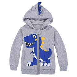 MIXIDON Kinder Kapuzen Jungen Pullover Dinosaurier Reißverschluss Sweat Shirt Kopfbedeckung Jacke Muster 3 3 Jahre von MIXIDON