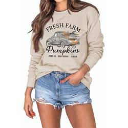 Fresh Farm Pumpkins Apples Hayrides Cider Halloween Frauen Sweatshirts Vintage Kürbisse Auto Grafik Hoodie Tops, beige, Large von MLZHAN