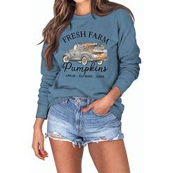 Fresh Farm Pumpkins Apples Hayrides Cider Halloween Frauen Sweatshirts Vintage Kürbisse Auto Grafik Hoodie Tops, blau, Medium von MLZHAN