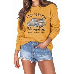 Fresh Farm Pumpkins Apples Hayrides Cider Halloween Frauen Sweatshirts Vintage Kürbisse Auto Grafik Hoodie Tops, gelb, Small von MLZHAN