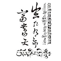 5 pcs Kräuter-Tattoo-Aufkleber Mit Chinesischen Schriftzeichen Und Sanskrit Wasserfest Und Langlebig Tattoo-Saftpflanze Für Männer Und Frauen Semipermanent von MOQNISE