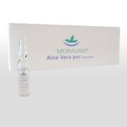 Aloe Vera Pur Ampullen - 10x2ml von MORAVAN