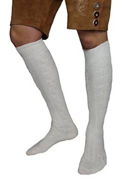 MS-Trachten Trachtenstrümpfe Trachtensocken Kniebundstrümpfe grau meliert (42, creme) von MS-Trachten