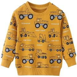 Jungen Sweatshirt Bagger Muster Langarm Baumwolle Pullover Kinder Warme Oberteilung 110 von MUJOQE