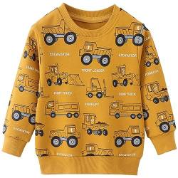 Jungen Sweatshirt Bagger Muster Langarm Baumwolle Pullover Kinder Warme Oberteilung 92 von MUJOQE