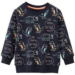 MUJOQE Jungen Sweatshirt Kinder Warme Pullover Baumwolle Activewear Kinder Dinosaurier T-Shirt Langarmshirt 110 von MUJOQE