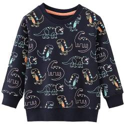 MUJOQE Jungen Sweatshirt Kinder Warme Pullover Baumwolle Activewear Kinder Dinosaurier T-Shirt Langarmshirt 92 von MUJOQE