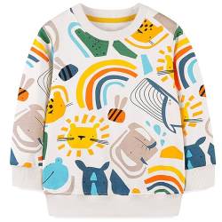 MUJOQE Jungen Sweatshirts Langarmshirts Kinder Pullover 100% Baumwolle Warm Activewear Tops 110 von MUJOQE