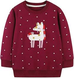 MUJOQE Kinder Mädchen Sweatshirt Pullover Langarm Baumwolle Einhorn Winter Oberteile 4 Jahre 104 von MUJOQE