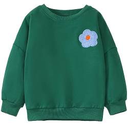 Mädchen Sweatshirt Blume Muster Langarm Baumwolle Pullover Kinder Warme Oberteilung 104 von MUJOQE