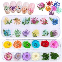 2 Boxes Real Natural Dried Flowers for Nail Art, Mwoot 22 Colors Dry Flowers with green Leaves Nail Art Supplies 3D Applique Nail Decoration Sticker for Tips Manicure Décor von MWOOT