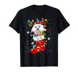 Santa Malteser in Weihnachten Socken Liebhaber Kinder Familie T-Shirt von Maltese Dog In Christmas Socks Costume