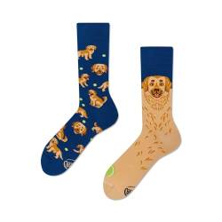 Many Mornings - Golden Boy - Hund, Golden Retriever - Mismatched Socks (as3, numeric, numeric_39, numeric_42, regular, regular) von Many Mornings