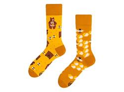 Many Mornings Unisex Honey Bear Mismatched Socken, Multicolor, 39-42 von Many Mornings