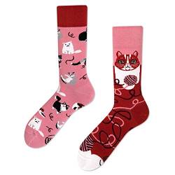 Many Mornings unisex Socken Playful Cat (Weinrot, 35/38) von Many Mornings