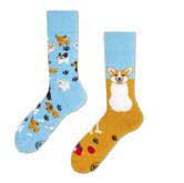 Many Mornings unisex Socken Playful Dog Regular (35-38) von Many Mornings