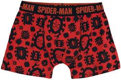 MARVEL COMICS Herren Spider-Man Men's All-Over Print Boxer Shorts Underwear, Small, Red/Black (Zb240331spn-s) Boxershorts, Rot (Rot/Rot), S von Marvel