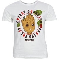 MARVEL Print-Shirt Guardians of the Galaxy Baby Groot Kinder T-Shirt Shirt Baumwolle, Gr. 98 bis 116 von Marvel