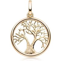Materia Kettenanhänger Gold Lebensbaum / Baum des Lebens rund Ø15mm GKA-12, Gelbgold 333 von Materia