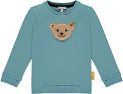 Max und Mia Steiff Jungen Sweatshirt einfarbig mit Quietsche Bär Squeezer (Adriatic Blue, 122) von Max und Mia