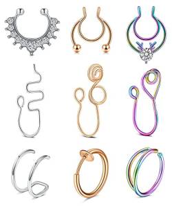 Mayhoop Fake Nose Ring Fake Nasenpiercing Fake Septumring Nasenmanschetten Chirurgenstahl Geweih Silber Rosegold Regenbogen Für Frauen Männer Piercingschmuck 9 Stile 9St von Mayhoop