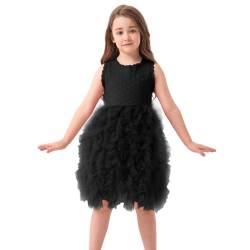 Miipat Baby Girls Kleid Tüll Ärmellose Kleinkind Mädchen Prinzessin Kleider Rüschen Tutu Stickerei Festliches Geburtstags Blumenmädchenkleider Schwarz 100 2-3 Jahre von Miipat