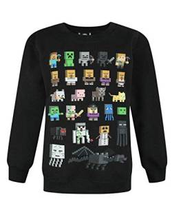 Minecraft Boys Jumper Kinder Sprites Creeper Pig Black Sweatshirt Sweater 9-10 Jahre von Minecraft