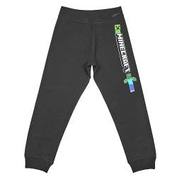 Minecraft Jungen Jogginghose Hose Joggers (Schwarz 2, 116) von Minecraft