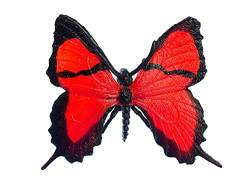 Miniblings Schmetterling Brosche Rot Frühling Falter Fliegen Insekt Tier Gummi - Handmade Modeschmuck I Anstecknadel Button Pins von Miniblings
