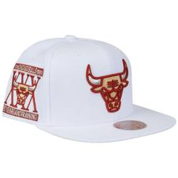 Mitchell & Ness Snapback Cap WINTER WHITE Chicago Bulls von Mitchell & Ness