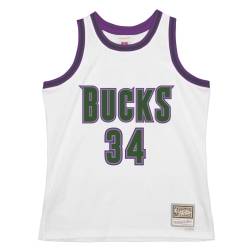 Swingman Mesh Jersey Milwaukee Bucks 96-97 Ray Allen von Mitchell & Ness