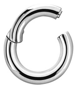 Titan Piercing Schmuck Smooth Segment Ring Clicker in 3,0 x 16 mm von Modern Nature Piercing-Schmuck