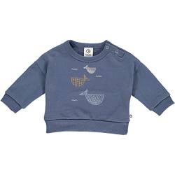 Müsli by Green Cotton Baby Boys Whale Sweatshirt Pullover Sweater, Indigo, 74 von Müsli by Green Cotton