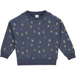 Müsli by Green Cotton Boy's Dragon Sweatshirt Pullover Sweater, Night Blue/Pine/Moss/Spa Green, 110 cm von Müsli by Green Cotton