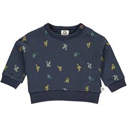 Müsli by Green Cotton Jungen Dragon Sweatshirt Baby Pullover Sweater, Night Blue/Pine/Moss/Spa Green, 56 EU von Müsli by Green Cotton