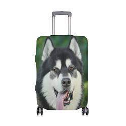My Daily Alaskan Malamute Hundegepäckabdeckung, passend für 45,7–81,3 cm große Koffer, Spandex, Reiseschutz, Mehrfarbig, Large Cover(Fits 26-29 inch luggage) von My Daily