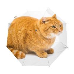 My Daily Regenschirm mit niedlichem Katzen-Motiv, automatisches Öffnen und Schließen, Anti-UV, winddicht, leicht, kompakt von My Daily