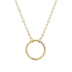 NP Fajewellery Silber 925 Anhänger Gold Farbe Kreis hängende als Anhänger für Damen Kette 46cm von N\P