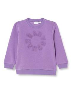 NAME IT Baby - Mädchen Nbfodessa Ls Sweat Bru Pullover, Amethyst Orchid, 68 von NAME IT