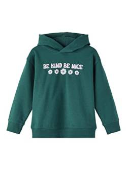 NAME IT Girl's NMFSILKE Sweat BRU Sweatshirt, Sea Moss, 104 von NAME IT