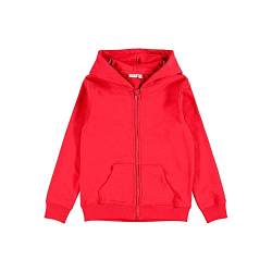 NAME IT Mädchen NKFNASWEAT Card W Hood UNB NOOS Hoodie-Jacke, Tomato Puree, 110 von NAME IT