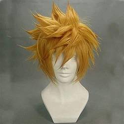 NEZIH Anime Coser Wig Kingdom Hearts Roxas Golden Perücke Ventus Cosplay Perücke 30Cm Stroke Strake Synthetik Herren Spiel Anime Kostüm Party Wig Geschenk, Accesorios Decorativos von NEZIH