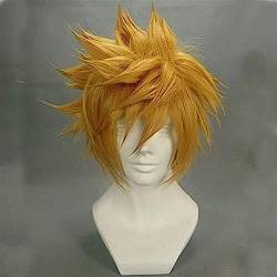 NEZIH Kingdom Hearts Roxas Perücke Ventus Cosplay Perücke 30 Cm Kurze Gerade Synthetische Haar Mann Spiel Anime Kostüm Party Perücke Geschenk Golden, Geeignet Für Halloween-Party von NEZIH