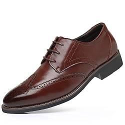 NIAVIS Herren Anzugschuhe Schnürhalbschuhe Klassischer Business Derby Oxford Hochzeit Schuhe Schnürschuh Lederschuhe,braun,48 von NIAVIS