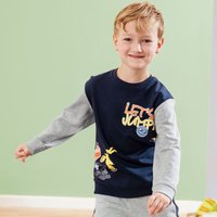 Jungen-Sweatshirt mit Kontrast-Ärmeln von NKD